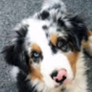 Meet your Posher, Hope